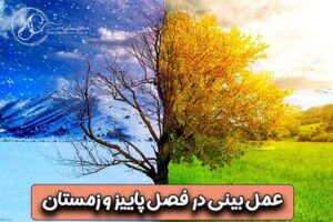 عمل ترمیمی بینی