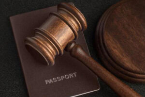 humanities-immigration (1)