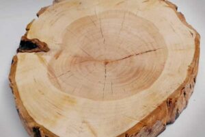 Wood