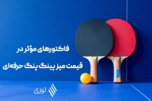 Ping Pong Table