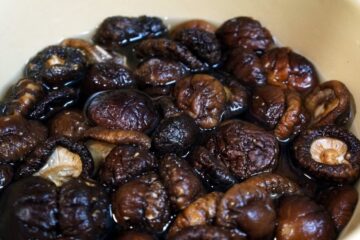 طرز تهیه مربای قارچ