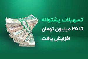 تسهیلات پشتوانه ویپاد