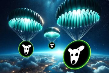 چگونه داگز را برداشت کنیم؟ نحوه برداشت بدون کارمزد و تبدیل داگز (DOGS Airdrop)