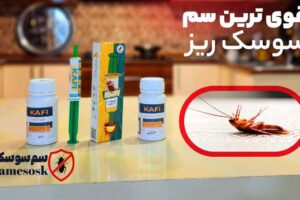 قوی ترین سم سوسک ریز برای از بین بردن سوسک کابینت