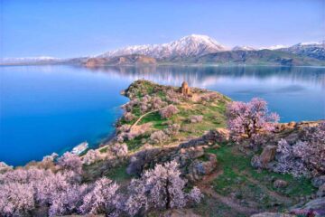 بررسی نظرات کاربران در انتخاب و رزرو هتل‌های وان