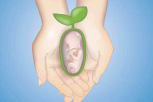 قدرت باروری - توانایی بچه دار شدن