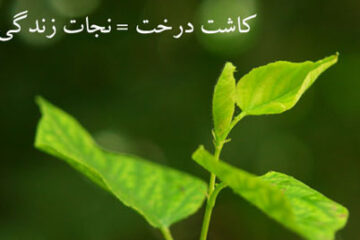 اس ام اس روز درختکاری | ۱۵ اسفند روز درختکاری مبارک