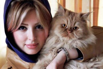 بیوگرافی نیوشا ضیغمی بازیگر زن ایرانی + عکس
