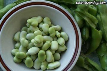 مضرات و خواص باقلا (باقالا)