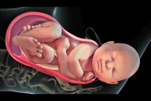 فیلم زایمان طبیعی Labor and Vaginal Birth _Childbirth