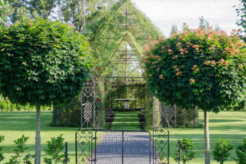 کلیسای زیبا از درختان زنده